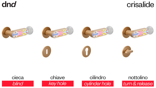 crisalide-dnd-versioni-disponibili